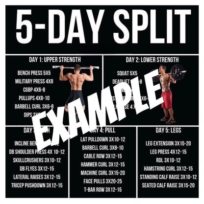 The UofGS Custom Workout Split/Plan (Personalized For You)